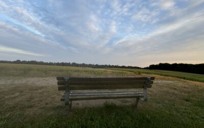 Über 70 Bänke stehen auf dem Weyerberg und in der Marcusheide